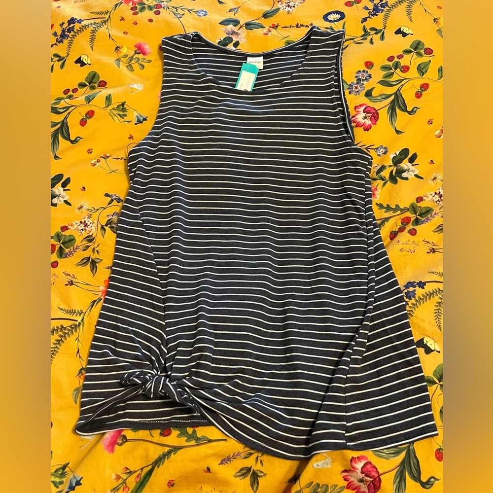 Kaileigh Blue and White Striped Tank Top